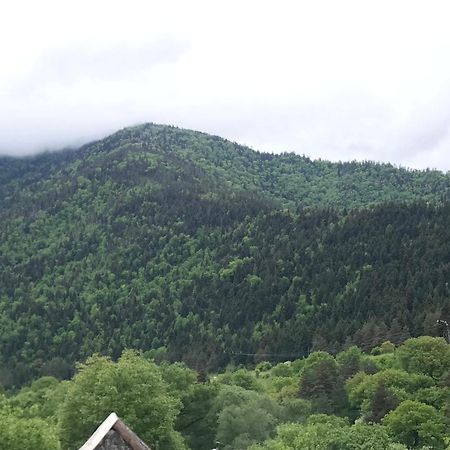 Zviad Guest House Borjomi Ngoại thất bức ảnh