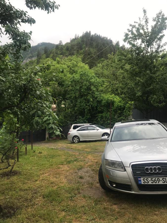 Zviad Guest House Borjomi Ngoại thất bức ảnh