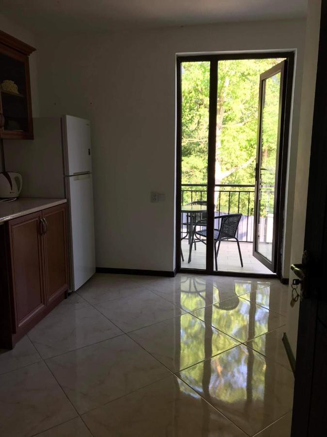 Zviad Guest House Borjomi Ngoại thất bức ảnh