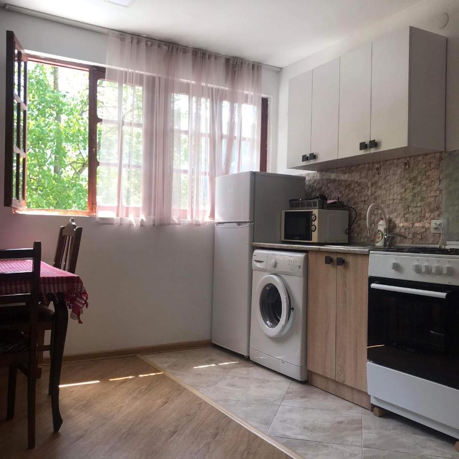 Zviad Guest House Borjomi Ngoại thất bức ảnh