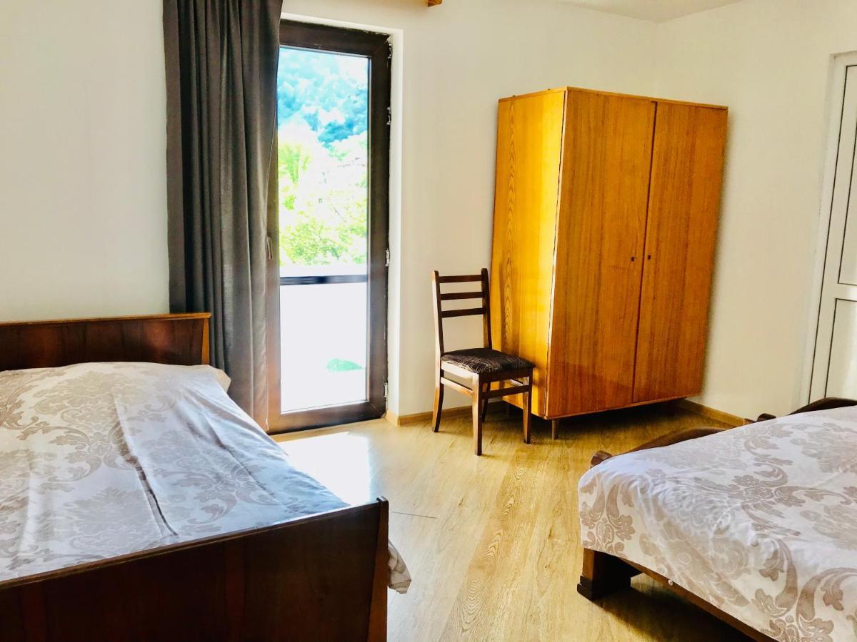 Zviad Guest House Borjomi Ngoại thất bức ảnh