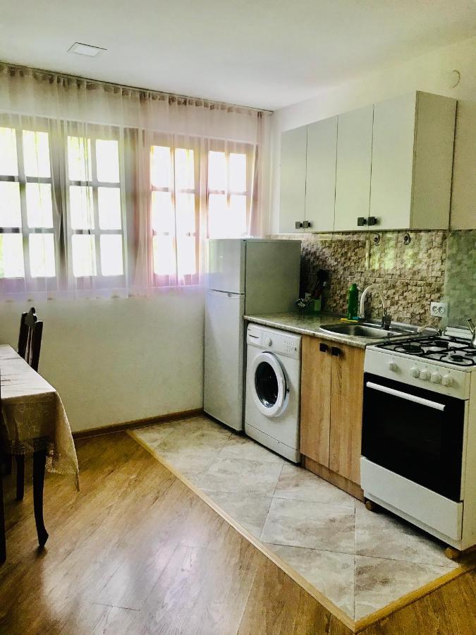 Zviad Guest House Borjomi Ngoại thất bức ảnh