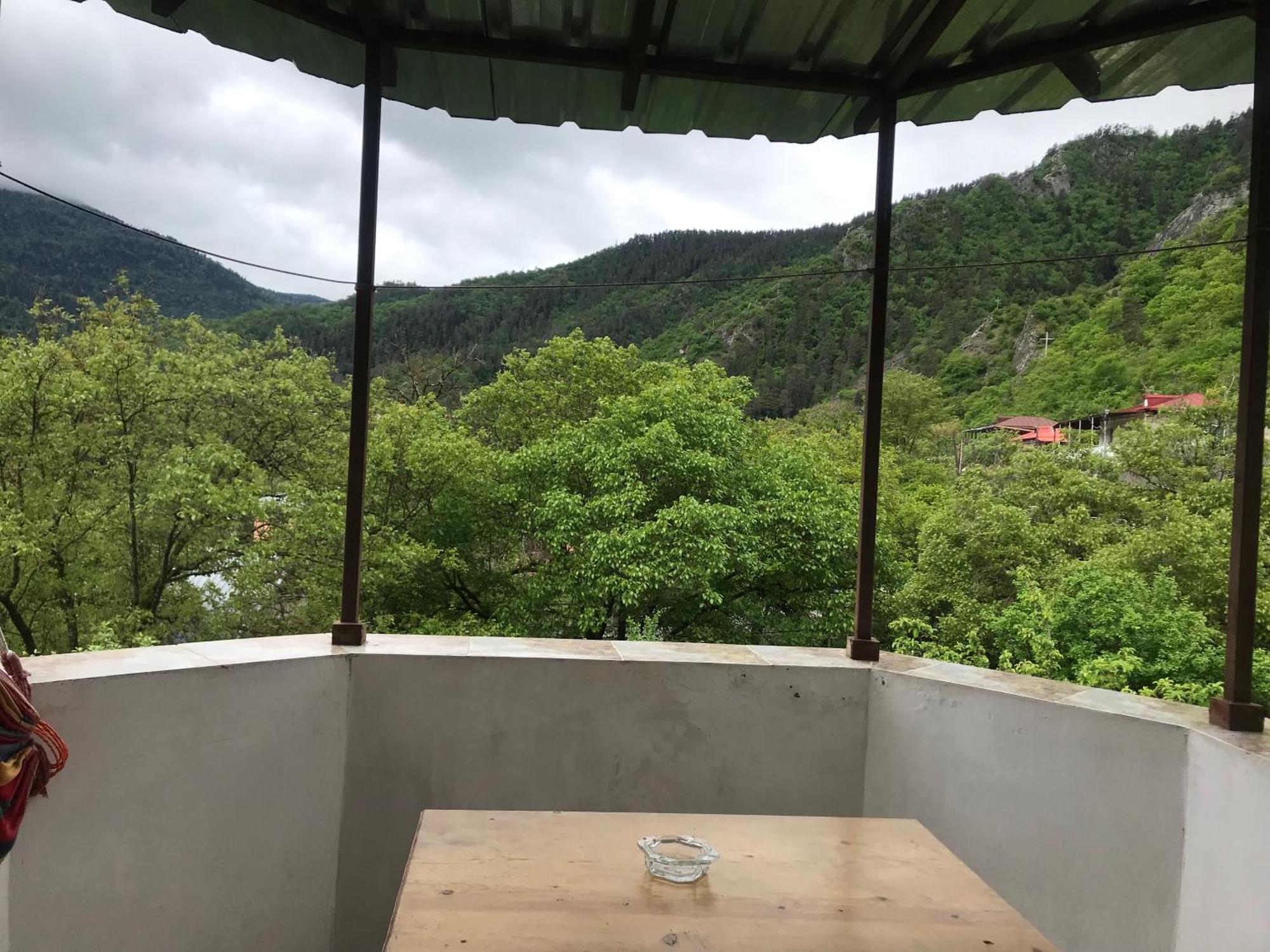 Zviad Guest House Borjomi Ngoại thất bức ảnh