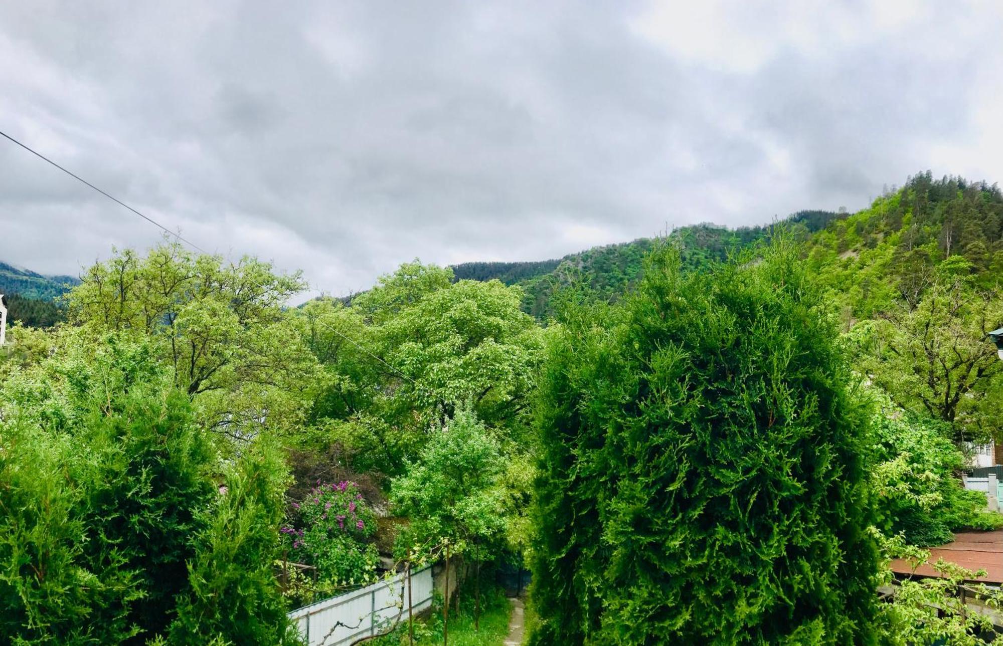Zviad Guest House Borjomi Ngoại thất bức ảnh