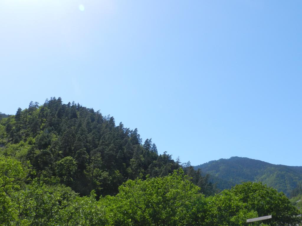 Zviad Guest House Borjomi Ngoại thất bức ảnh
