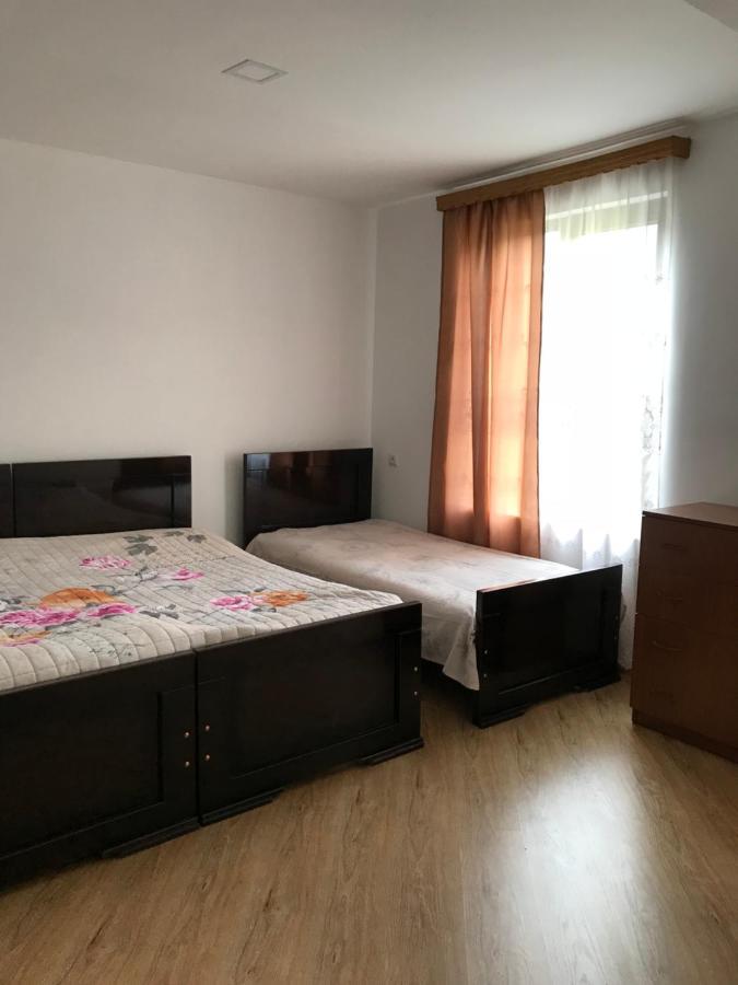 Zviad Guest House Borjomi Ngoại thất bức ảnh